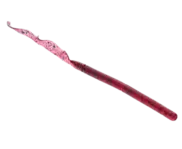 Strike King Zeus Worm 9.5" Plum
