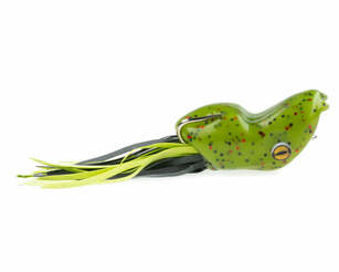 Southern Lure Scum Frog...