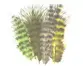 Wapsi Grizzly Marabou - Natural