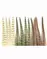 Wapsi Dry Fly Medium Neck Hackle - Natural Ginger
