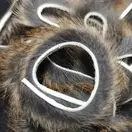 Wapsi Pine Squirrel Zonkers Standard Size -...
