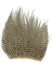 Wapsi Ewing Neck Hackle Mini Pack Middle -...