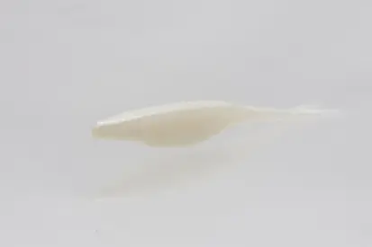 Zoom 4" Super Fluke Jr 10pk - White Pearl