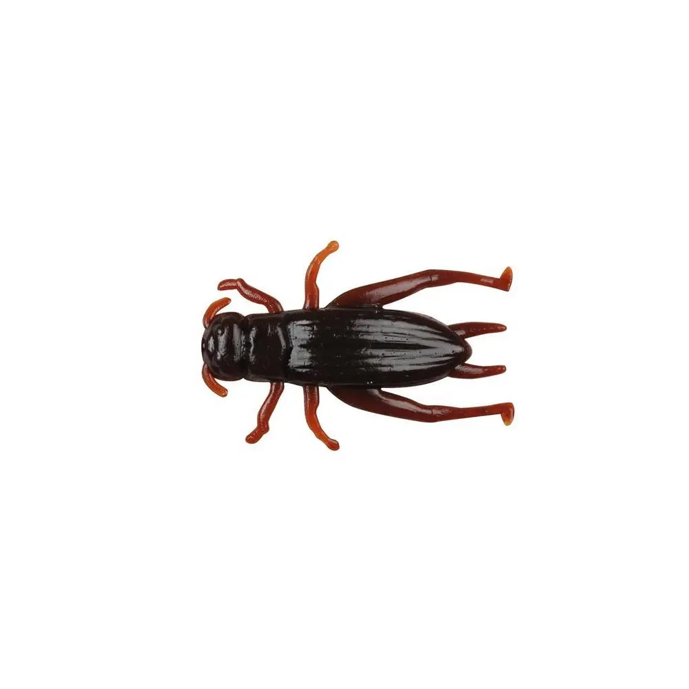 Trout Insects category image