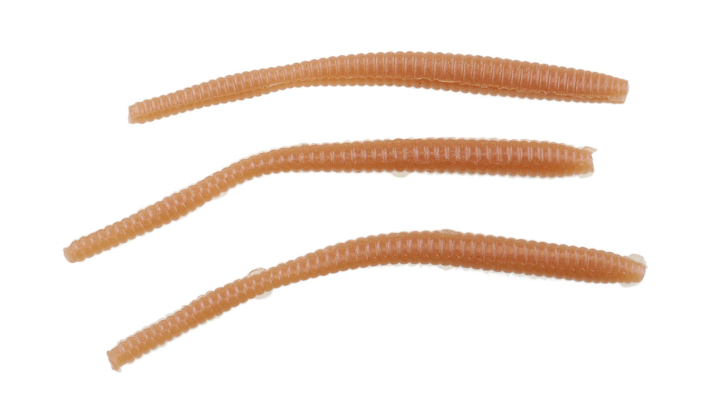 Trout Worms category image