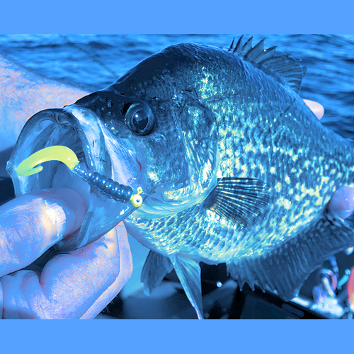 Crappie Lures category image