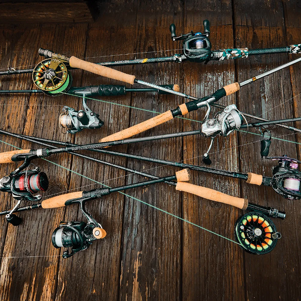 Rods & Reels category image